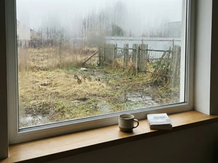 Person looking out window at unkempt yard